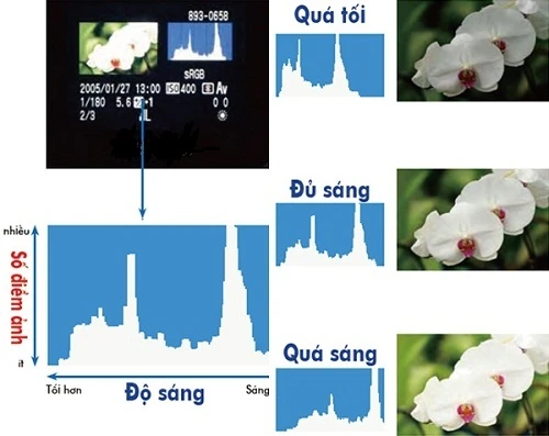 Kham pha co che bu sang tren may anh 4