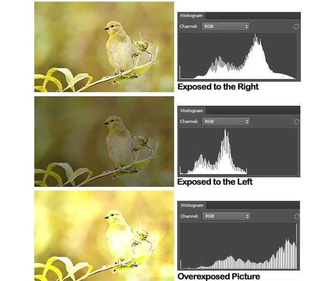 Cách sử dụng biểu đồ Histogram
