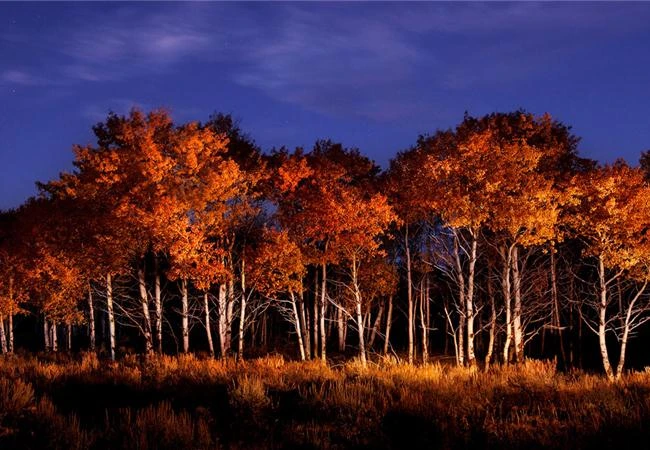 Cùng tìm hiểu nghệ thuật vẽ bằng ánh sáng