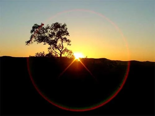 Hiện tượng flare trong nhiếp ảnh