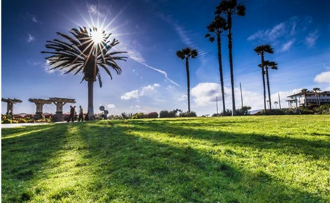 Hiệu ứng tia của ống kính và những điều chưa biết