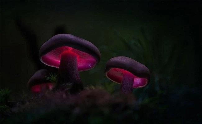 Học nhiếp ảnh từ những điều đơn giản nhất