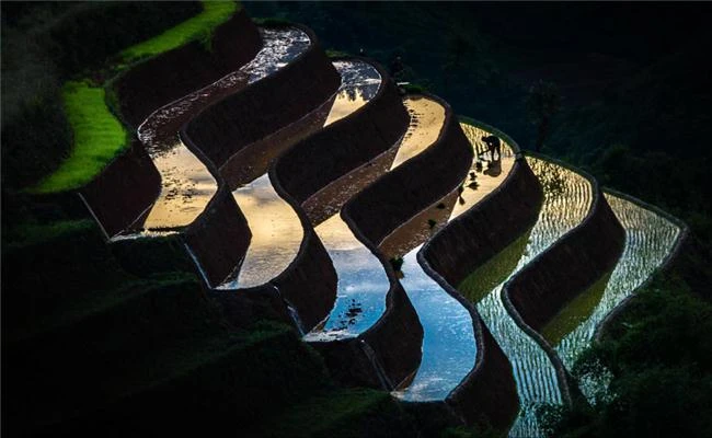 Hướng dẫn kiểm soát độ sáng tối của bức hình