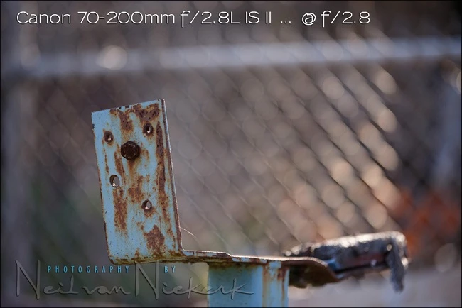 So sánh Canon 135mm f/2L và Canon 70-200mm f/2.8L IS II