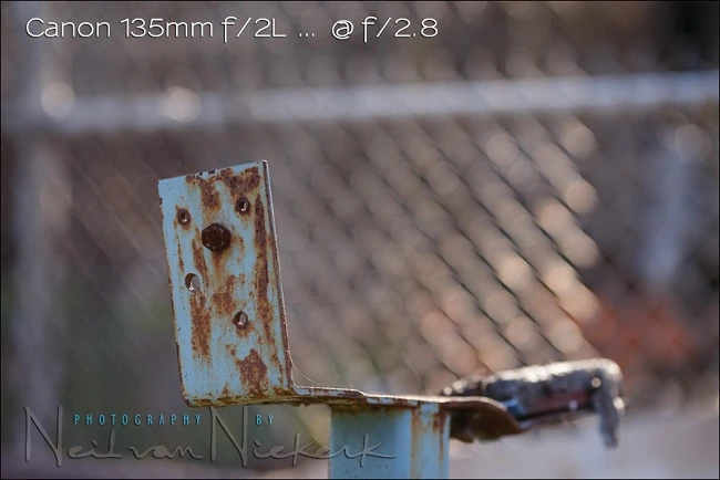 So sánh Canon 135mm f/2L và Canon 70-200mm f/2.8L IS II