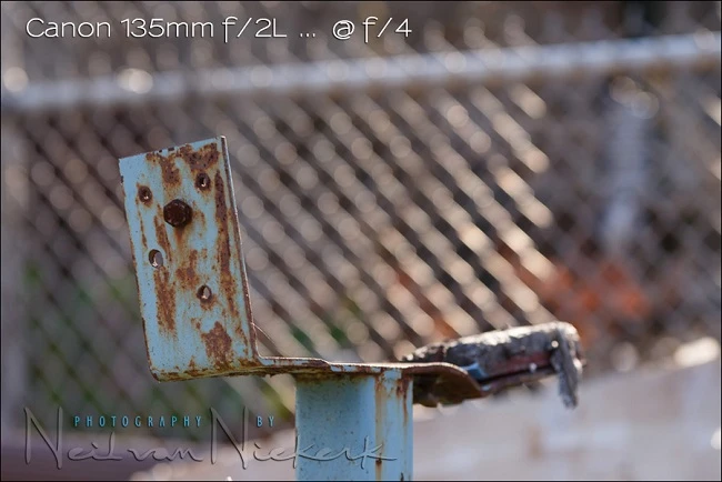 So sánh Canon 135mm f/2L và Canon 70-200mm f/2.8L IS II