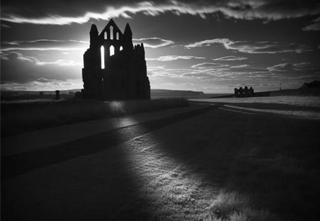 Làm gì để sử dụng hiệu quả ánh sáng tự nhiên