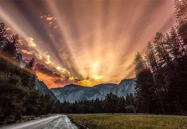 Làm gì để sử dụng hiệu quả ánh sáng tự nhiên