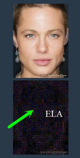 Làm thế nào để kiểm tra một hình ảnh đã qua Photoshop hay chưa?