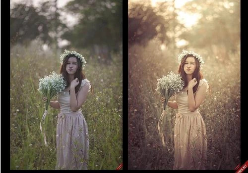 Làm thế nào để sử dụng các Preset đúng cách ?