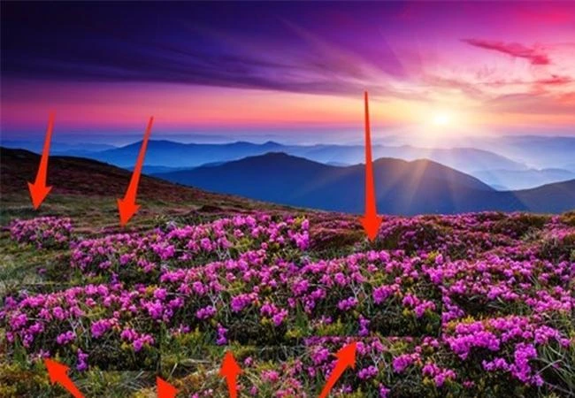 Mẹo “bới lông tìm vết” một bức hình đã qua chỉnh sữa