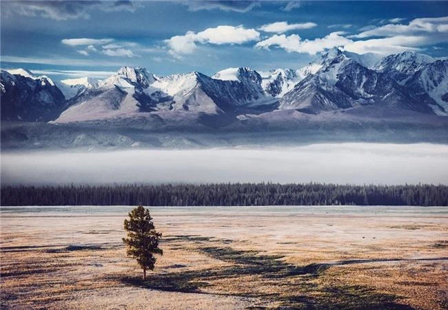 Mẹo “bới lông tìm vết” một bức hình đã qua chỉnh sữa