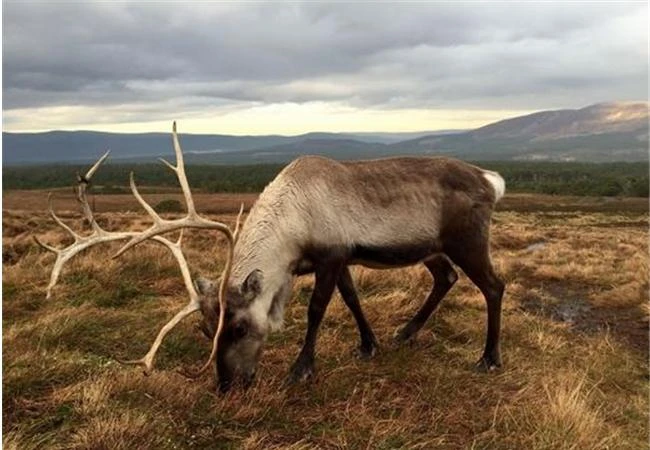 Những cách đơn giản để cải thiện bố cục trong nhiếp ảnh
