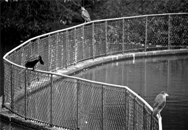 Những cách đơn giản để cải thiện bố cục trong nhiếp ảnh