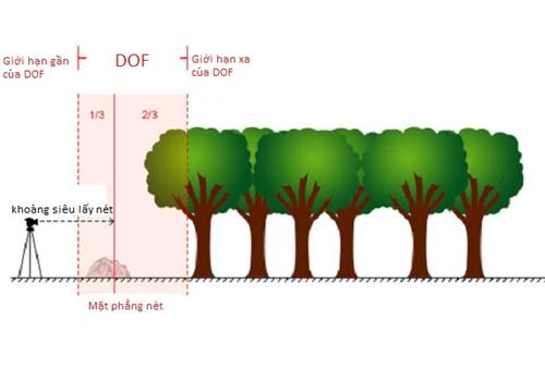 Những điều cơ bản khi muốn chụp ảnh rỏ nét