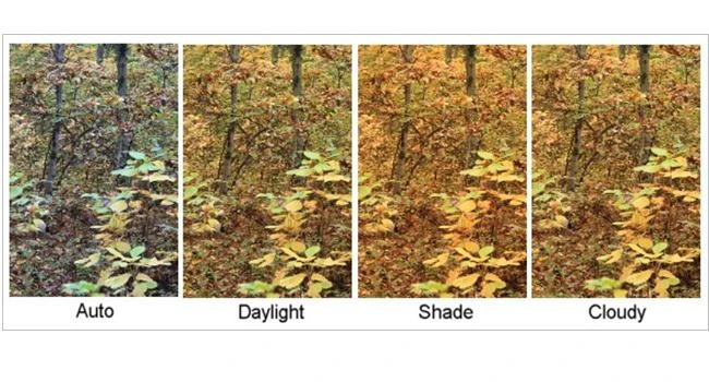 Những lỗi cân bằng trắng có thể gặp phải