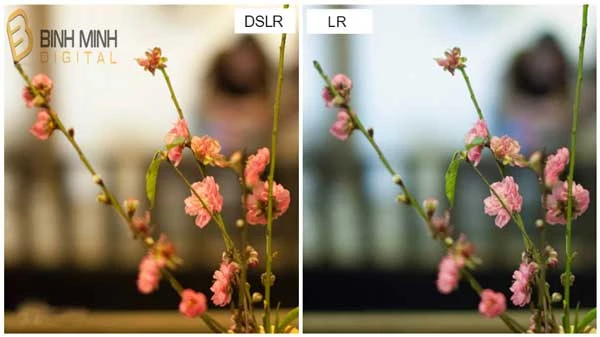 Những lưu ý khi chuẩn bị hậu kỳ một bức ảnh