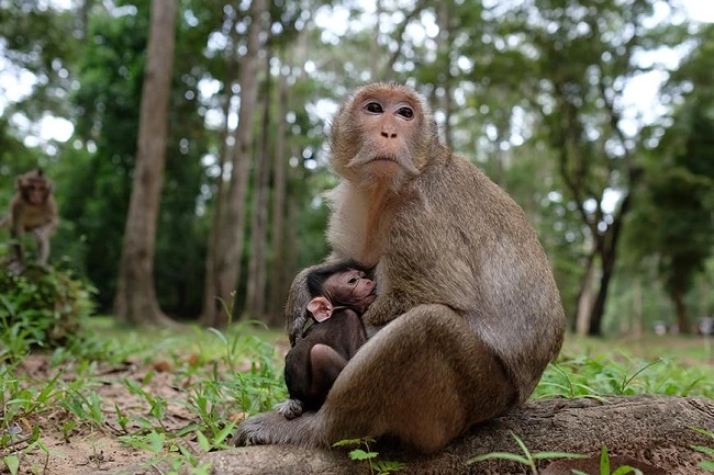 Những ống kính Fujifilm nào trong năm 2017 sẽ chinh phục bạn?