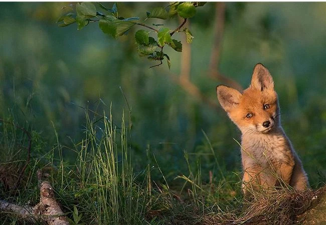 Những trường hợp không nên dùng chế độ tự động lấy nét AF