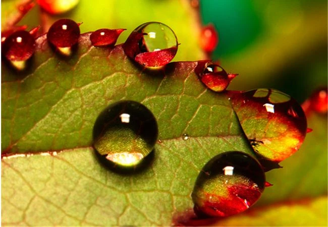 Những trường hợp không nên dùng chế độ tự động lấy nét AF