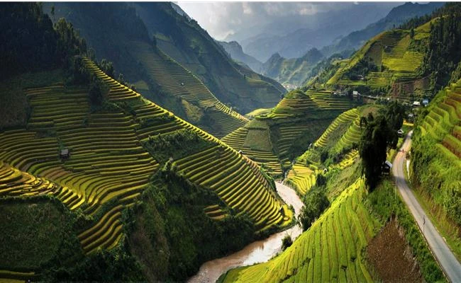 Sự biến mất trong im lặng của điểm lấy nét vô cực