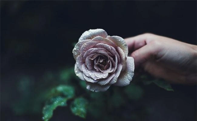 Tản mạn về đẹp kỹ thuật hay đẹp mỹ thuật