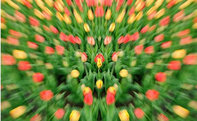 Tìm hiểu về hiệu ứng mờ nhòe trong nhiếp ảnh