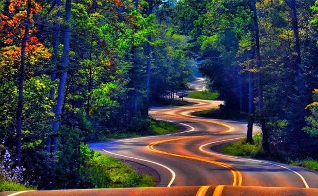 Trả lời nhanh những câu hỏi sau trước khi bấm máy