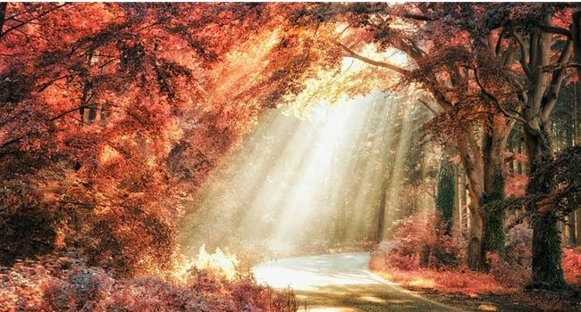 Trả lời nhanh những câu hỏi sau trước khi bấm máy