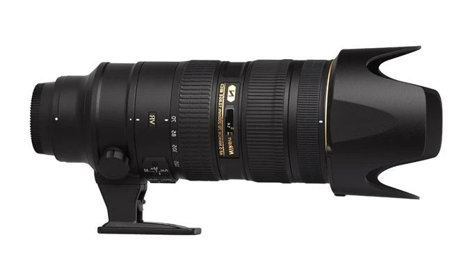 Tuyển tập ống kính Nikon chụp động vật hoang dã tốt nhất