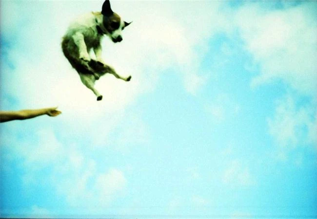 Xả stress với trường phái nhiếp ảnh Lomography