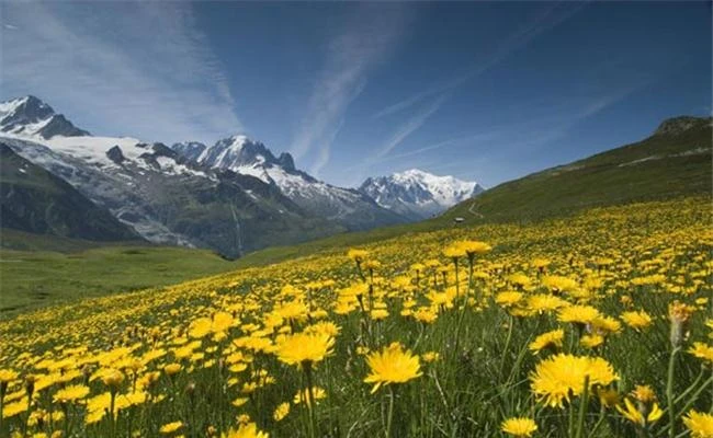 Xử lý ánh sáng một cách đơn giản theo cách của các nhiếp ảnh gia