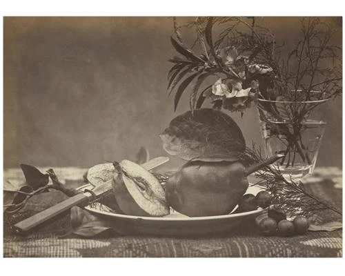 Theo bạn, ảnh tĩnh vật khó hay dễ? (Phần 1)