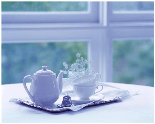 Theo bạn, ảnh tĩnh vật khó hay dễ? (phần 2)