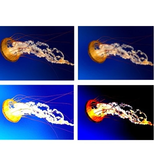 Kinh nghiệm cơ bản xử lý độ tương phản