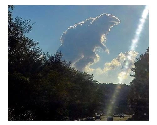 Bắt những áng mây vào khung hình