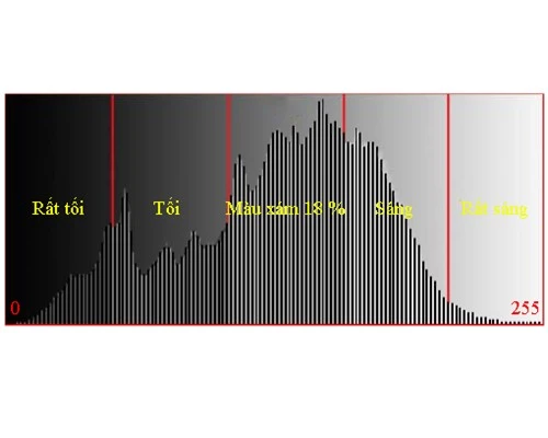 Biểu đồ Histogram quan trọng như thế nào?