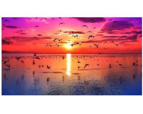 Bình minh trong mây