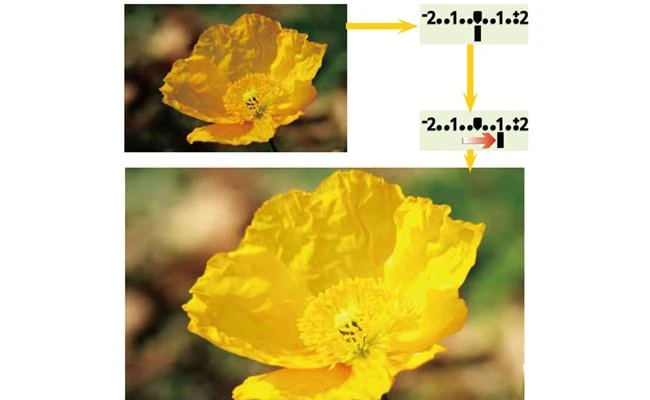 Một số thủ thuật để có bức hình đẹp với hoa