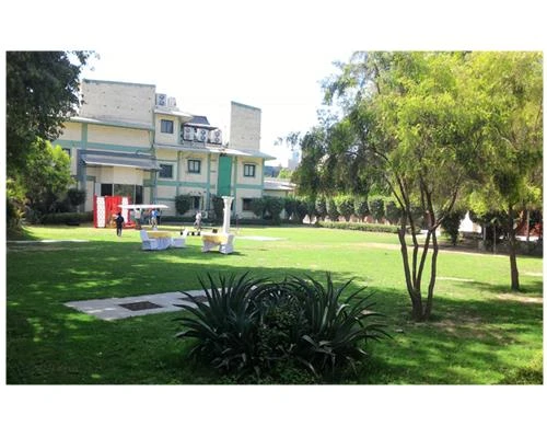 Chụp ảnh bằng Zenfone 2 (phần 3)