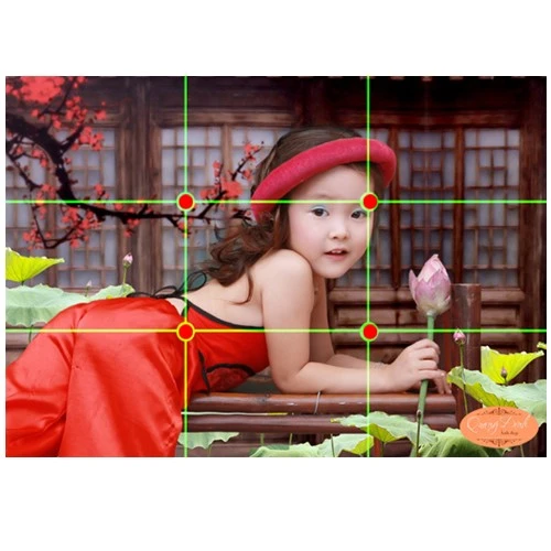 Cho ảnh đẹp với những kỹ thuật cơ bản nhất