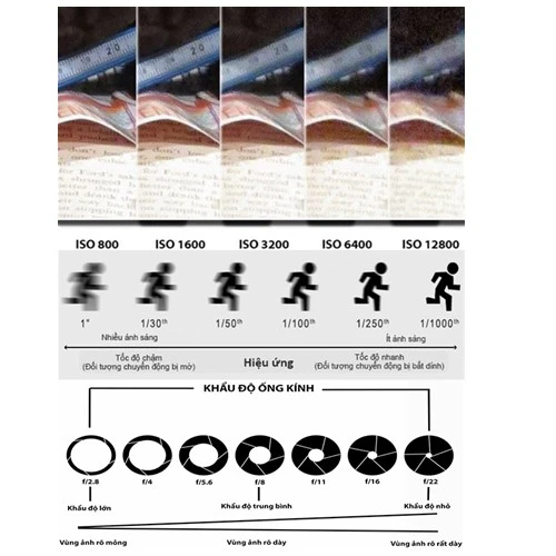Cho ảnh đẹp với những kỹ thuật cơ bản nhất