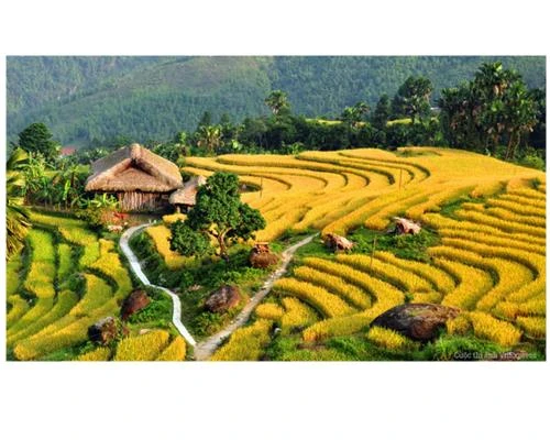 Cách để chụp ảnh phong cảnh đẹp hơn