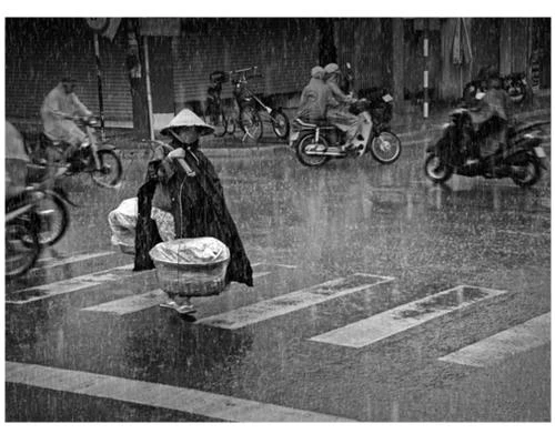 Trời mưa, làm sao chụp ảnh?