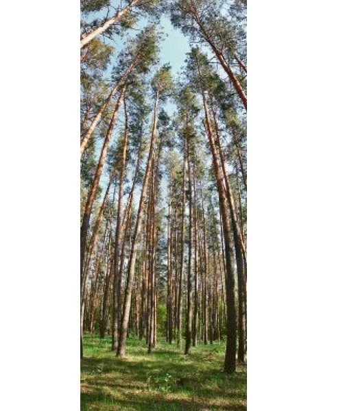 Cách để chụp panorama đẹp hơn