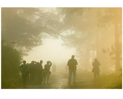 Để ảnh đẹp hơn trong sương mù