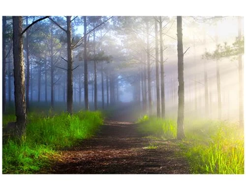 Để ảnh đẹp hơn trong sương mù