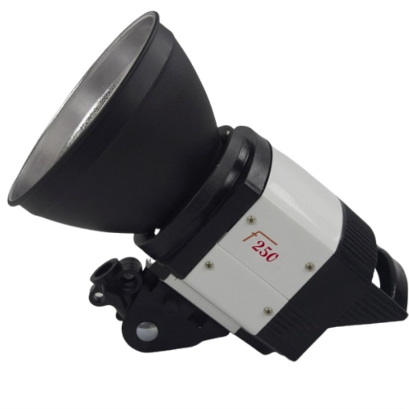 Đèn Flash Studio F250 (250W)