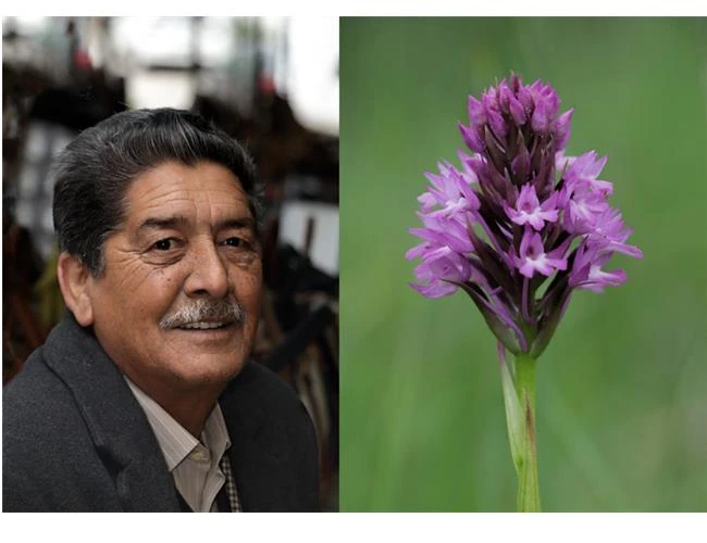 Công nghệ lấy nét Nano USM đã tạo nên sức mạnh cho ống kính Canon như thế nào?