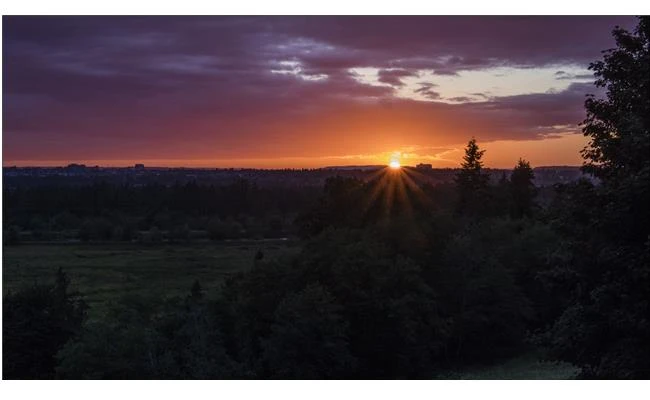 Công nghệ lấy nét Nano USM đã tạo nên sức mạnh cho ống kính Canon như thế nào?